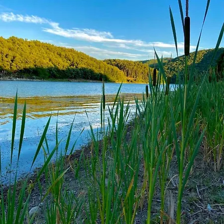 Kuca Saric, Gruzansko Jezero Holiday home *